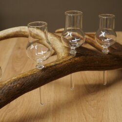 Schnapsanbieter 4 x kleine Gläser Steckglas mit Stiel auf Rothirschstange Geschenk 27.60.2.83