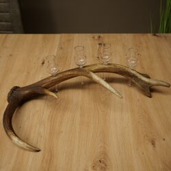 Schnapsanbieter 4 x kleine Gläser Steckglas mit Stiel auf Rothirschstange Geschenk 27.60.2.83