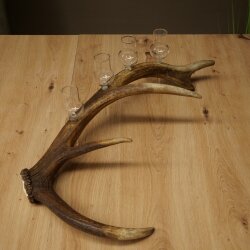 Schnapsanbieter 4 x kleine Gläser Steckglas mit Stiel auf Rothirschstange Geschenk 27.60.2.83