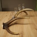Set da liquore: 4 bicchierini con stelo su un corno di...