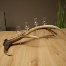 Set da liquore: 4 bicchierini con stelo su un corno di cervo rosso - Regalo 27.60.2.84