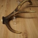 Set da liquore: 4 bicchierini con stelo su un corno di cervo rosso - Regalo 27.60.2.84