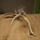 Set da liquore: 4 bicchierini con stelo su un corno di cervo rosso - Regalo 27.60.2.84