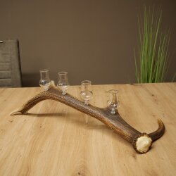 Set da liquore: 4 bicchierini con stelo su un corno di cervo rosso - Regalo 27.60.2.84