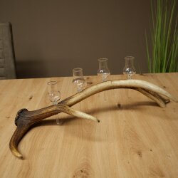 Set da liquore: 4 bicchierini con stelo su un corno di cervo rosso - Regalo 27.60.2.84