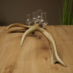 Set da liquore: 4 bicchierini con stelo su un corno di cervo rosso - Regalo 27.60.2.84