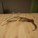 Set da liquore: 4 bicchierini con stelo su un corno di...
