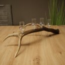 Schnapsanbieter 4 x kleine Gläser Steckglas mit Stiel auf Rothirschstange Geschenk 27.60.2.87