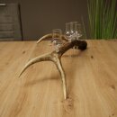 Schnapsanbieter 4 x kleine Gläser Steckglas mit Stiel auf Rothirschstange Geschenk 27.60.2.87