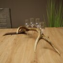 Schnapsanbieter 4 x kleine Gläser Steckglas mit Stiel auf Rothirschstange Geschenk 27.60.2.87