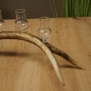Schnapsanbieter 4 x kleine Gläser Steckglas mit Stiel auf Rothirschstange Geschenk 27.60.2.87