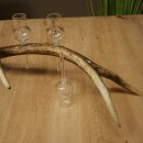 Schnapsanbieter 4 x kleine Gläser Steckglas mit Stiel auf Rothirschstange Geschenk 27.60.2.87