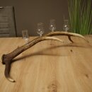 Schnapsanbieter 4 x kleine Gläser Steckglas mit Stiel auf Rothirschstange Geschenk 27.60.2.87
