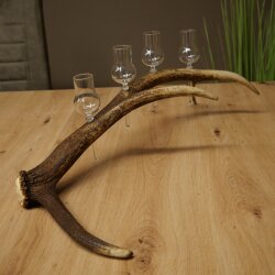 Schnapsanbieter 4 x kleine Gläser Steckglas mit Stiel auf Rothirschstange Geschenk 27.60.2.87