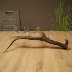 Schnapsanbieter 4 x kleine Gläser Steckglas mit Stiel auf Rothirschstange Geschenk 27.60.2.87