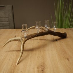 Schnapsanbieter 4 x kleine Gläser Steckglas mit Stiel auf Rothirschstange Geschenk 27.60.2.87