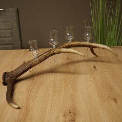 Schnapsanbieter 4 x kleine Gläser Steckglas mit Stiel auf Rothirschstange Geschenk 27.60.2.87