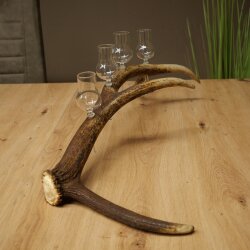 Schnapsanbieter 4 x kleine Gläser Steckglas mit Stiel auf Rothirschstange Geschenk 27.60.2.87