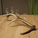 Set da liquore: 4 bicchierini con stelo su un corno di...