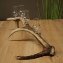 Set da liquore: 4 bicchierini con stelo su un corno di cervo rosso - Regalo 27.60.2.89