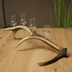 Set da liquore: 4 bicchierini con stelo su un corno di cervo rosso - Regalo 27.60.2.89