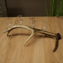 Set da liquore: 4 bicchierini con stelo su un corno di cervo rosso - Regalo 27.60.2.89