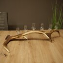 Set da liquore: 6 bicchierini con stelo su un corno di...