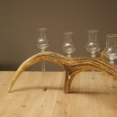 Schnapsanbieter 6 x kleine Gläser Steckglas mit Stiel auf Rothirschstange Geschenk 27.60.2.90