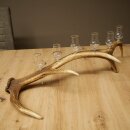 Schnapsanbieter 6 x kleine Gläser Steckglas mit Stiel auf Rothirschstange Geschenk 27.60.2.90