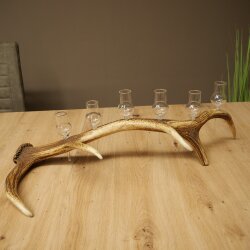 Schnapsanbieter 6 x kleine Gläser Steckglas mit Stiel auf Rothirschstange Geschenk 27.60.2.90