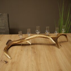 Schnapsanbieter 6 x kleine Gläser Steckglas mit Stiel auf Rothirschstange Geschenk 27.60.2.90