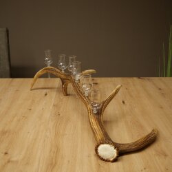 Schnapsanbieter 6 x kleine Gläser Steckglas mit Stiel auf Rothirschstange Geschenk 27.60.2.90