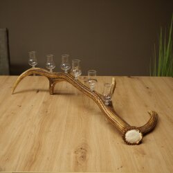 Schnapsanbieter 6 x kleine Gläser Steckglas mit Stiel auf Rothirschstange Geschenk 27.60.2.90