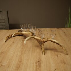 Schnapsanbieter 6 x kleine Gläser Steckglas mit Stiel auf Rothirschstange Geschenk 27.60.2.90