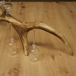 Schnapsanbieter 6 x kleine Gläser Steckglas mit Stiel auf Rothirschstange Geschenk 27.60.2.90
