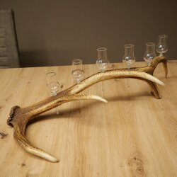 Schnapsanbieter 6 x kleine Gläser Steckglas mit Stiel auf Rothirschstange Geschenk 27.60.2.90