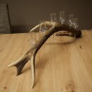 Schnapsanbieter 6 x kleine Gläser Steckglas mit Stiel auf Rothirschstange Geschenk 27.60.2.91