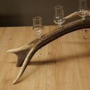 Schnapsanbieter 6 x kleine Gläser Steckglas mit Stiel auf Rothirschstange Geschenk 27.60.2.91