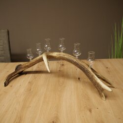 Schnapsanbieter 6 x kleine Gläser Steckglas mit Stiel auf Rothirschstange Geschenk 27.60.2.91