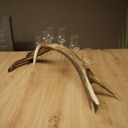 Schnapsanbieter 6 x kleine Gläser Steckglas mit Stiel auf Rothirschstange Geschenk 27.60.2.91