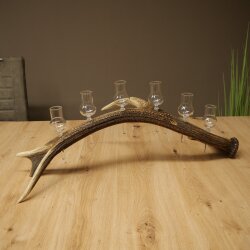Schnapsanbieter 6 x kleine Gläser Steckglas mit Stiel auf Rothirschstange Geschenk 27.60.2.91