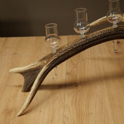 Schnapsanbieter 6 x kleine Gläser Steckglas mit Stiel auf Rothirschstange Geschenk 27.60.2.91