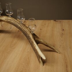 Schnapsanbieter 6 x kleine Gläser Steckglas mit Stiel auf Rothirschstange Geschenk 27.60.2.91