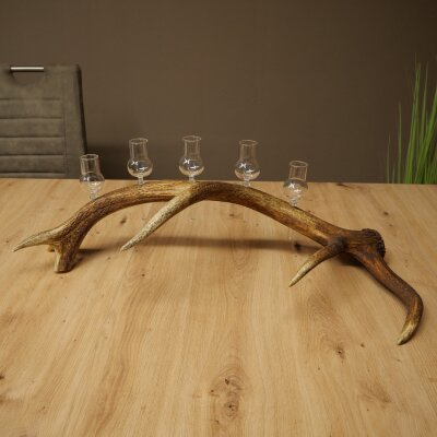 Schnapsanbieter 5 x kleine Gläser Steckglas mit Stiel auf Rothirschstange Geschenk 27.60.2.95