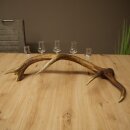Set da liquore: 5 bicchierini con stelo su un corno di...