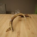 Schnapsanbieter 5 x kleine Gläser Steckglas mit Stiel auf Rothirschstange Geschenk 27.60.2.95
