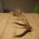 Schnapsanbieter 5 x kleine Gläser Steckglas mit Stiel auf Rothirschstange Geschenk 27.60.2.95