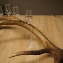 Schnapsanbieter 5 x kleine Gläser Steckglas mit Stiel auf Rothirschstange Geschenk 27.60.2.95