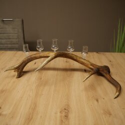 Schnapsanbieter 5 x kleine Gläser Steckglas mit Stiel auf Rothirschstange Geschenk 27.60.2.95
