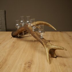 Schnapsanbieter 5 x kleine Gläser Steckglas mit Stiel auf Rothirschstange Geschenk 27.60.2.95